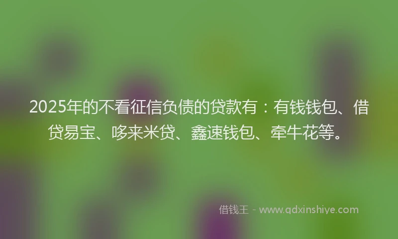2025年的不看征信负债的贷款有：有钱钱包、借贷易宝、哆来米贷、鑫速钱包、牵牛花等。