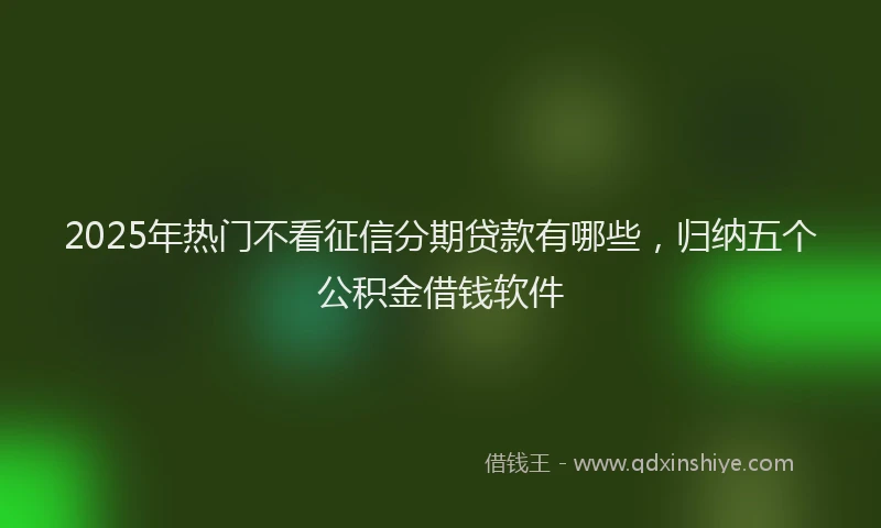 2025年热门不看征信分期贷款有哪些，归纳五个公积金借钱软件