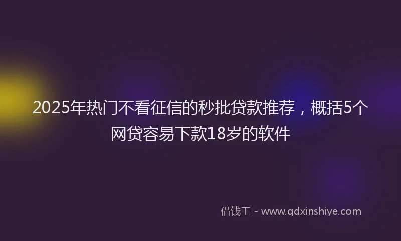 2025年热门不看征信的秒批贷款推荐，概括5个网贷容易下款18岁的软件
