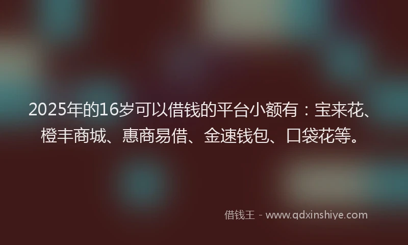 2025年的16岁可以借钱的平台小额有：宝来花、橙丰商城、惠商易借、金速钱包、口袋花等。