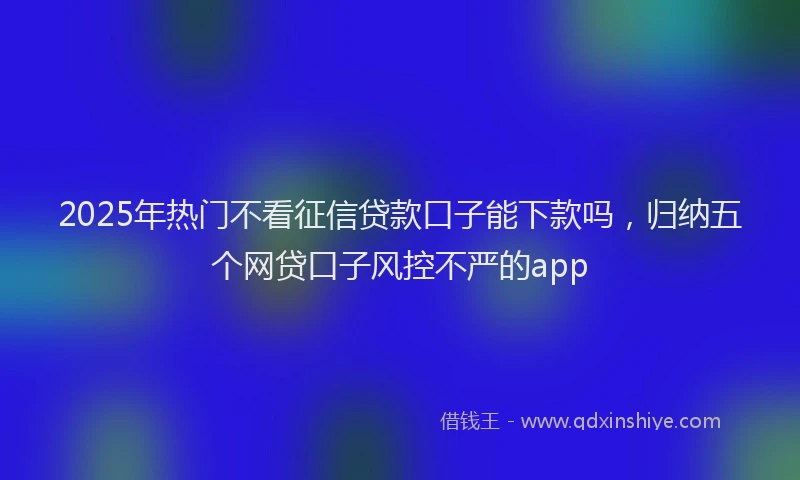 2025年热门不看征信贷款口子能下款吗，归纳五个网贷口子风控不严的app