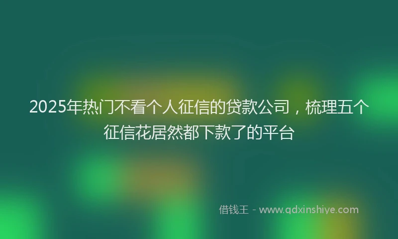 2025年热门不看个人征信的贷款公司，梳理五个征信花居然都下款了的平台