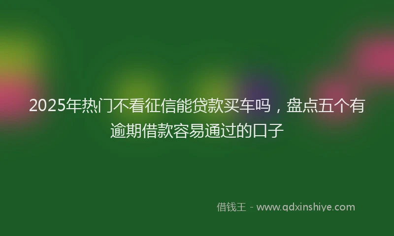 2025年热门不看征信能贷款买车吗，盘点五个有逾期借款容易通过的口子