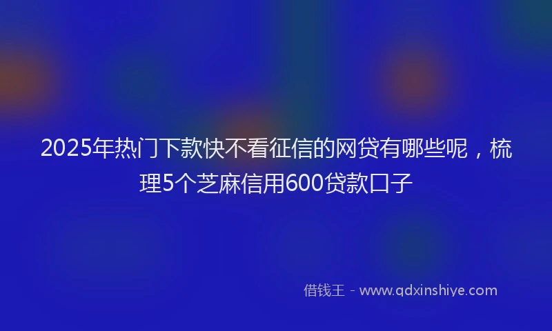 2025年热门下款快不看征信的网贷有哪些呢,梳理5个芝麻信用600贷款口子
