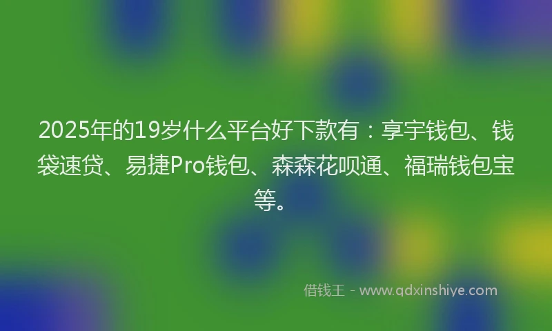 2025年的19岁什么平台好下款有：享宇钱包、钱袋速贷、易捷Pro钱包、森森花呗通、福瑞钱包宝等。