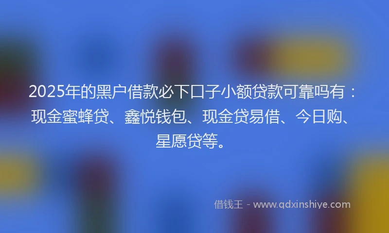 2025年的黑户借款必下口子小额贷款可靠吗有：现金蜜蜂贷、鑫悦钱包、现金贷易借、今日购、星愿贷等。
