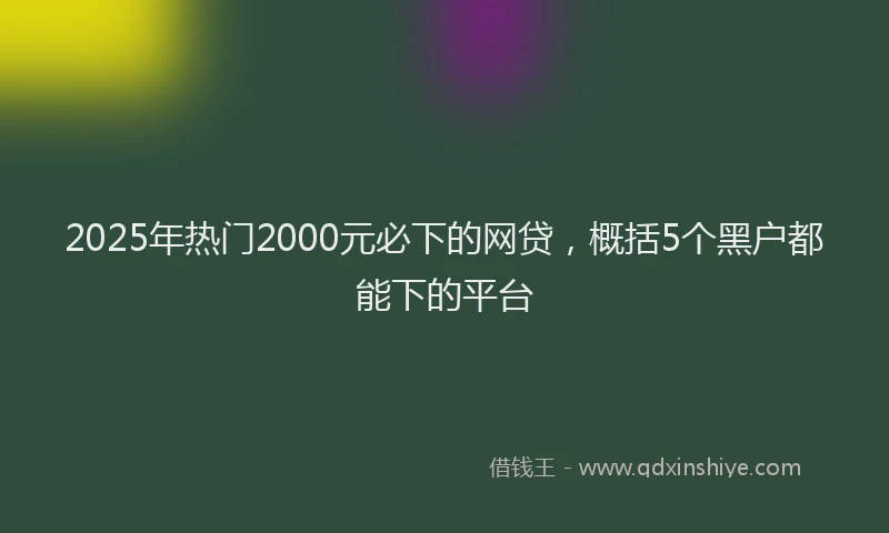 2025年热门2000元必下的网贷，概括5个黑户都能下的平台