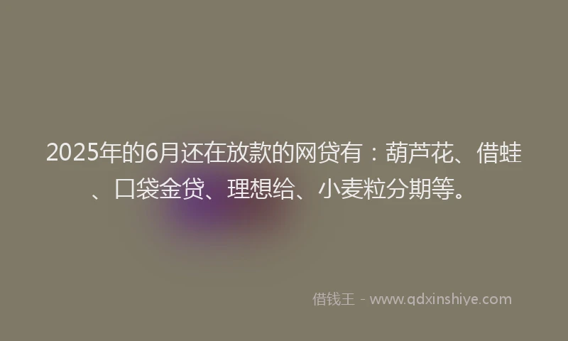 2025年的6月还在放款的网贷有：葫芦花、借蛙、口袋金贷、理想给、小麦粒分期等。