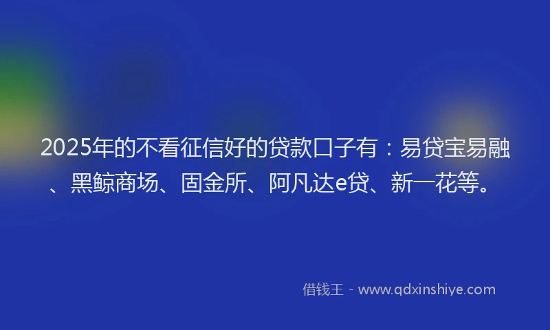 2025年的不看征信好的贷款口子有：易贷宝易融、黑鲸商场、固金所、阿凡达e贷、新一花等。