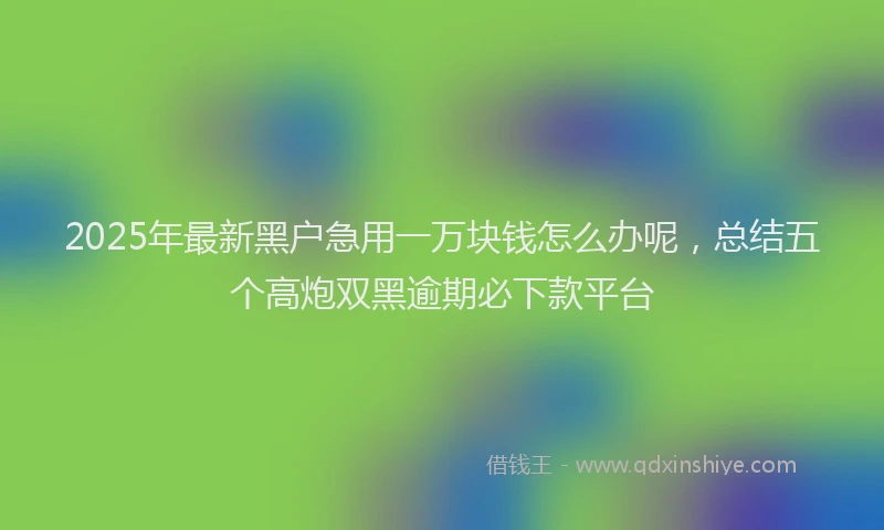 2025年最新黑户急用一万块钱怎么办呢，总结五个高炮双黑逾期必下款平台
