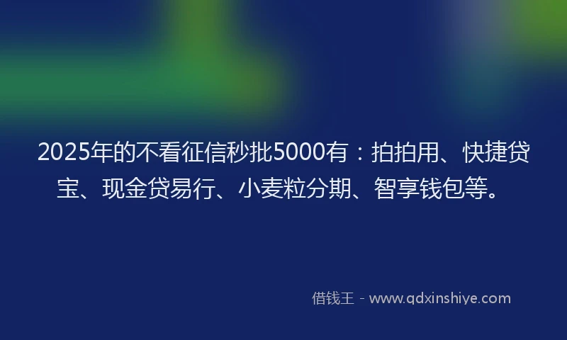 2025年的不看征信秒批5000有：拍拍用、快捷贷宝、现金贷易行、小麦粒分期、智享钱包等。