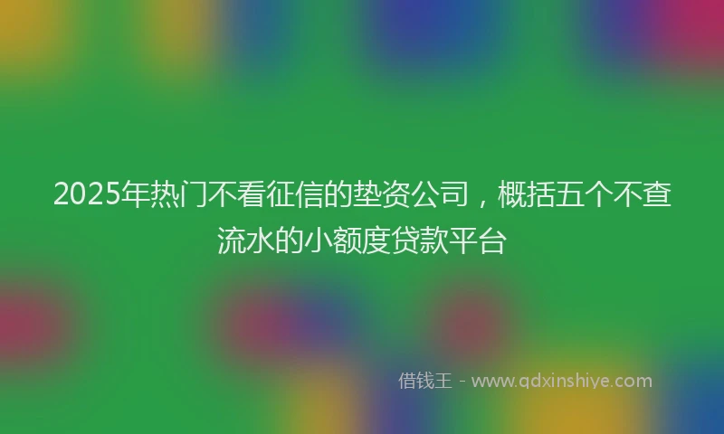 2025年热门不看征信的垫资公司，概括五个不查流水的小额度贷款平台