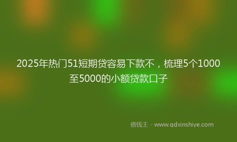 2025年热门51短期贷容易下款不，梳理5个1000至5000的小额贷款口子