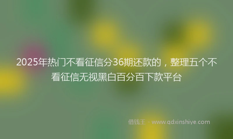 2025年热门不看征信分36期还款的，整理五个不看征信无视黑白百分百下款平台