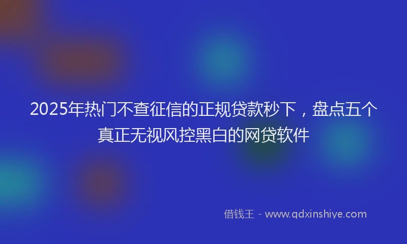 2025年热门不查征信的正规贷款秒下，盘点五个真正无视风控黑白的网贷软件