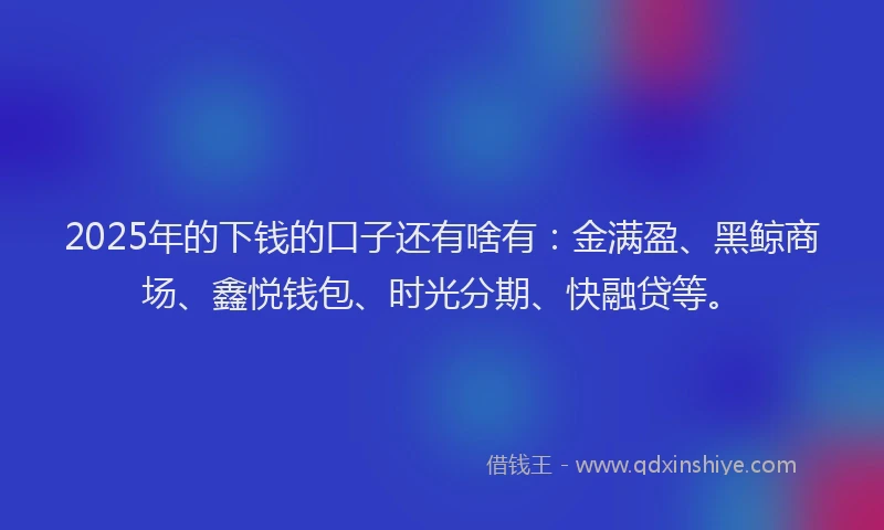 2025年的下钱的口子还有啥有：金满盈、黑鲸商场、鑫悦钱包、时光分期、快融贷等。