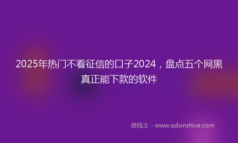 2025年热门不看征信的口子2024，盘点五个网黑真正能下款的软件