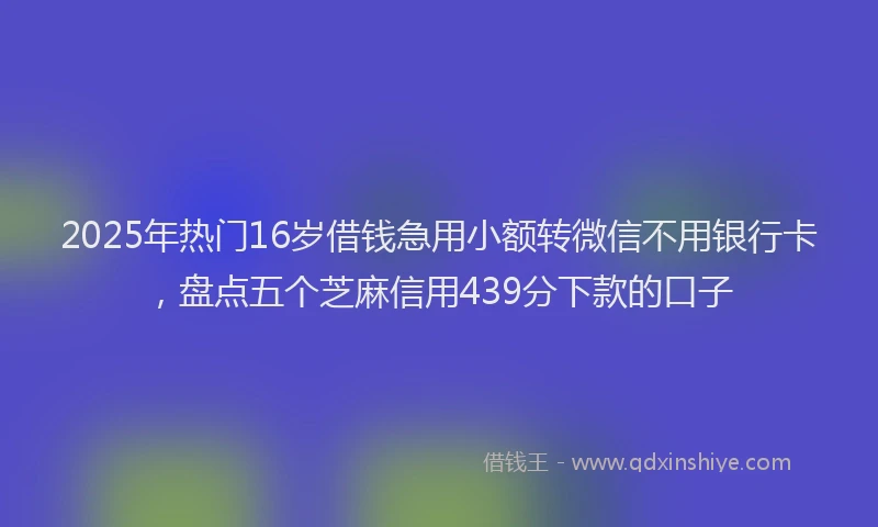 2025年热门16岁借钱急用小额转微信不用银行卡，盘点五个芝麻信用439分下款的口子
