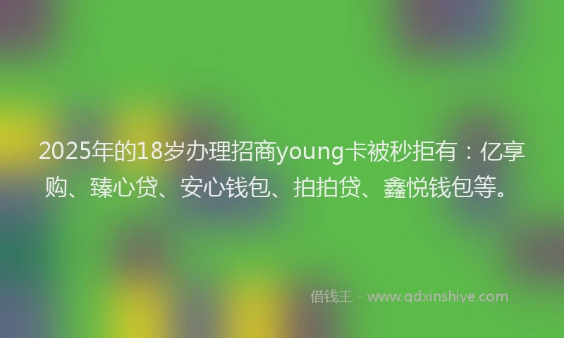 2025年的18岁办理招商young卡被秒拒有：亿享购、臻心贷、安心钱包、拍拍贷、鑫悦钱包等。
