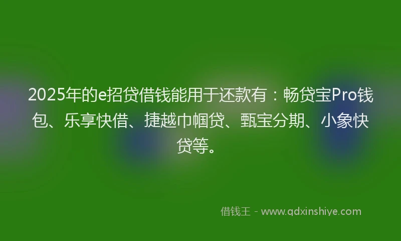 2025年的e招贷借钱能用于还款有：畅贷宝Pro钱包、乐享快借、捷越巾帼贷、甄宝分期、小象快贷等。