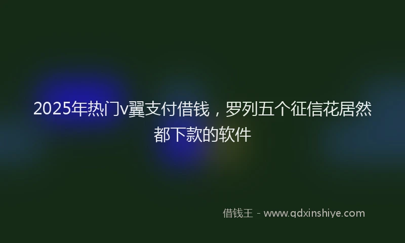 2025年热门v翼支付借钱,罗列五个征信花居然都下款的软件