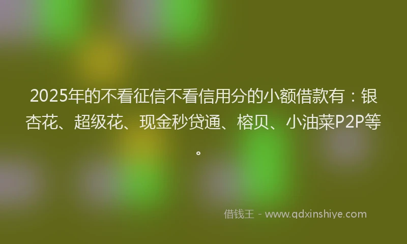 2025年的不看征信不看信用分的小额借款有：银杏花、超级花、现金秒贷通、榕贝、小油菜P2P等。