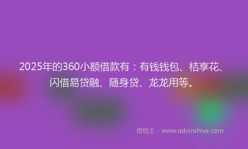 2025年的360小额借款有：有钱钱包、桔享花、闪借易贷融、随身贷、龙龙用等。