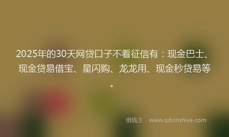 2025年的30天网贷口子不看征信有：现金巴士、现金贷易借宝、星闪购、龙龙用、现金秒贷易等。