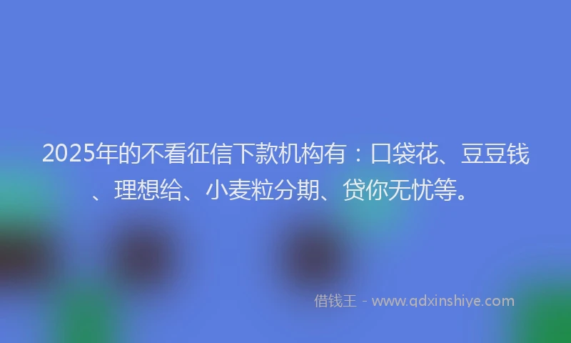 2025年的不看征信下款机构有：口袋花、豆豆钱、理想给、小麦粒分期、贷你无忧等。