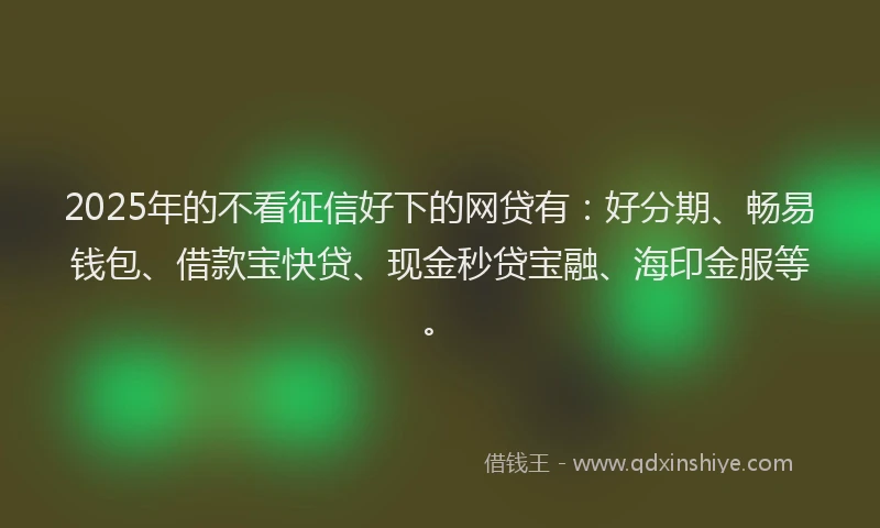 2025年的不看征信好下的网贷有：好分期、畅易钱包、借款宝快贷、现金秒贷宝融、海印金服等。