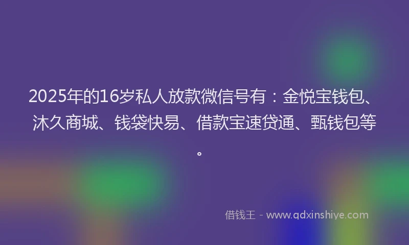 2025年的16岁私人放款微信号有：金悦宝钱包、沐久商城、钱袋快易、借款宝速贷通、甄钱包等。