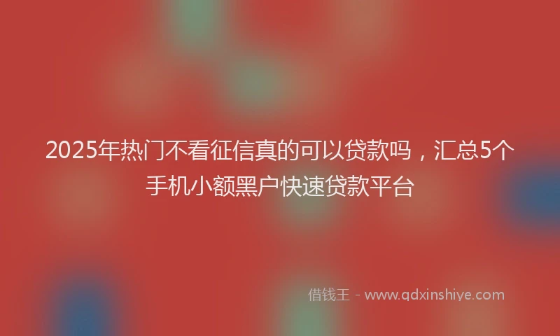 2025年热门不看征信真的可以贷款吗，汇总5个手机小额黑户快速贷款平台