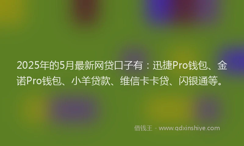 2025年的5月最新网贷口子有：迅捷Pro钱包、金诺Pro钱包、小羊贷款、维信卡卡贷、闪银通等。