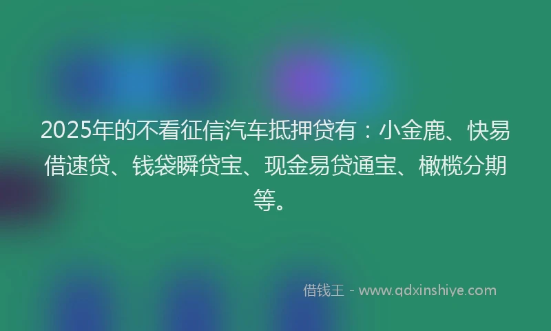 2025年的不看征信汽车抵押贷有：小金鹿、快易借速贷、钱袋瞬贷宝、现金易贷通宝、橄榄分期等。