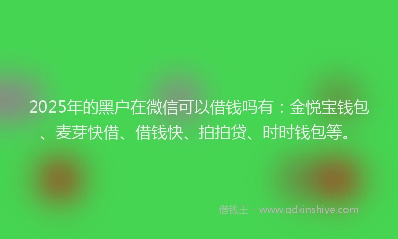 2025年的黑户在微信可以借钱吗有：金悦宝钱包、麦芽快借、借钱快、拍拍贷、时时钱包等。