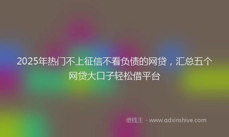 2025年热门不上征信不看负债的网贷，汇总五个网贷大口子轻松借平台