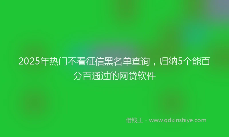 2025年热门不看征信黑名单查询，归纳5个能百分百通过的网贷软件