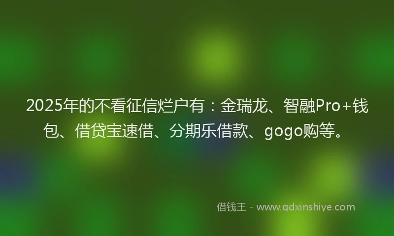 2025年的不看征信烂户有：金瑞龙、智融Pro+钱包、借贷宝速借、分期乐借款、gogo购等。