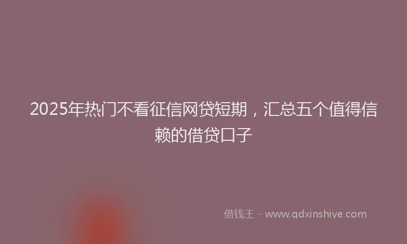 2025年热门不看征信网贷短期，汇总五个值得信赖的借贷口子
