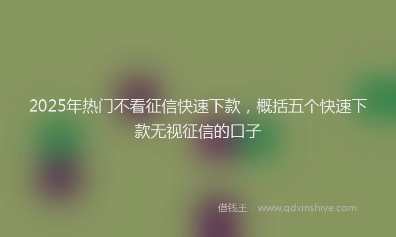 2025年热门不看征信快速下款，概括五个快速下款无视征信的口子