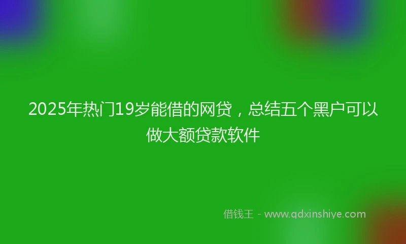 2025年热门19岁能借的网贷，总结五个黑户可以做大额贷款软件