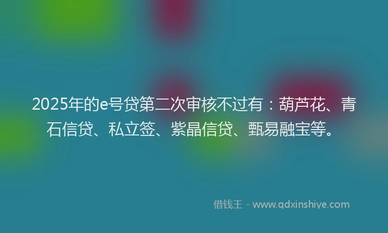 2025年的e号贷第二次审核不过有：葫芦花、青石信贷、私立签、紫晶信贷、甄易融宝等。