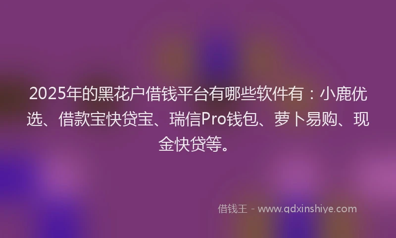 2025年的黑花户借钱平台有哪些软件有：小鹿优选、借款宝快贷宝、瑞信Pro钱包、萝卜易购、现金快贷等。