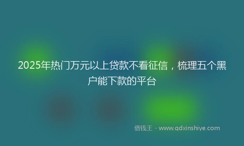 2025年热门万元以上贷款不看征信，梳理五个黑户能下款的平台