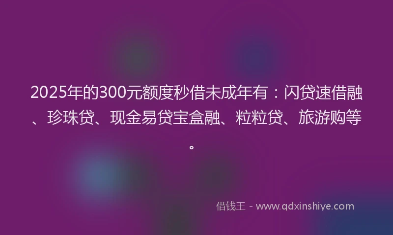 2025年的300元额度秒借未成年有：闪贷速借融、珍珠贷、现金易贷宝盒融、粒粒贷、旅游购等。