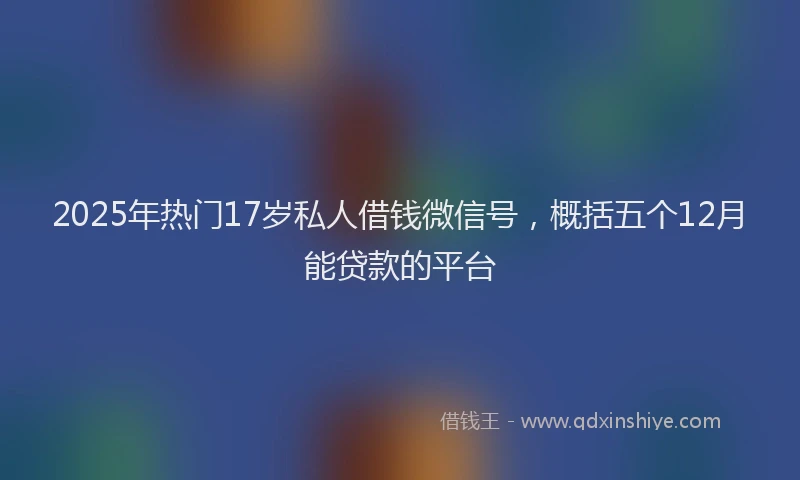 2025年热门17岁私人借钱微信号，概括五个12月能贷款的平台