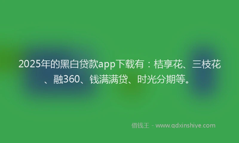 2025年的黑白贷款app下载有：桔享花、三枝花、融360、钱满满贷、时光分期等。