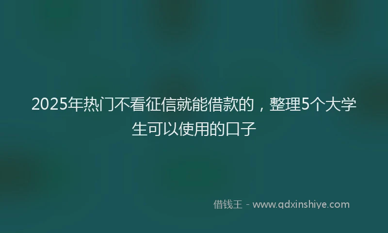 2025年热门不看征信就能借款的，整理5个大学生可以使用的口子