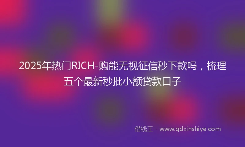 2025年热门RICH-购能无视征信秒下款吗，梳理五个最新秒批小额贷款口子