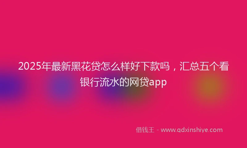 2025年最新黑花贷怎么样好下款吗，汇总五个看银行流水的网贷app